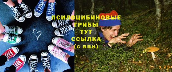 круглые Абаза