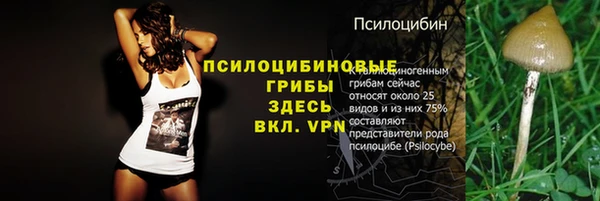 круглые Абаза