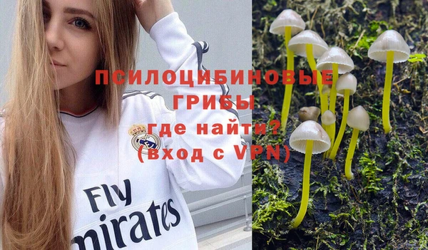 круглые Абаза