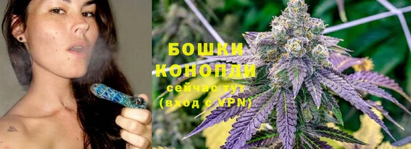 прущий лед Пестово