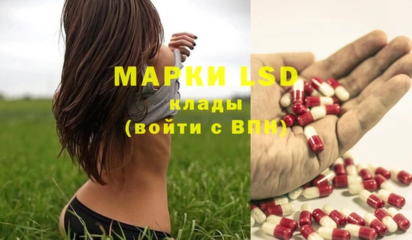 ПСИЛОЦИБИНОВЫЕ ГРИБЫ Абдулино